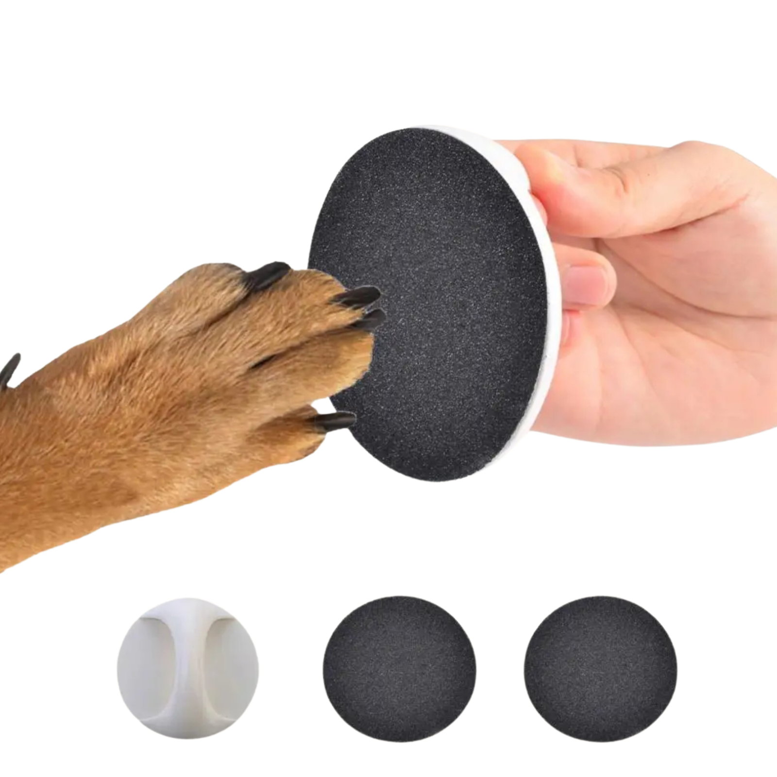 Ergonomiškas šunų nagų dildžių rinkinys su keičiamais 2 šlifavimo paviršiais