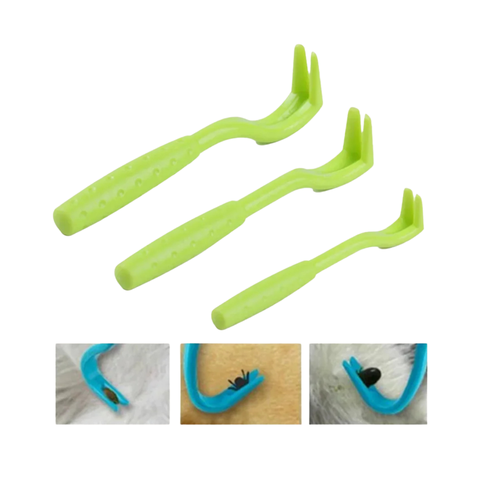 Erkių šalinimo įrankių rinkinys, 3vnt. - Image 2