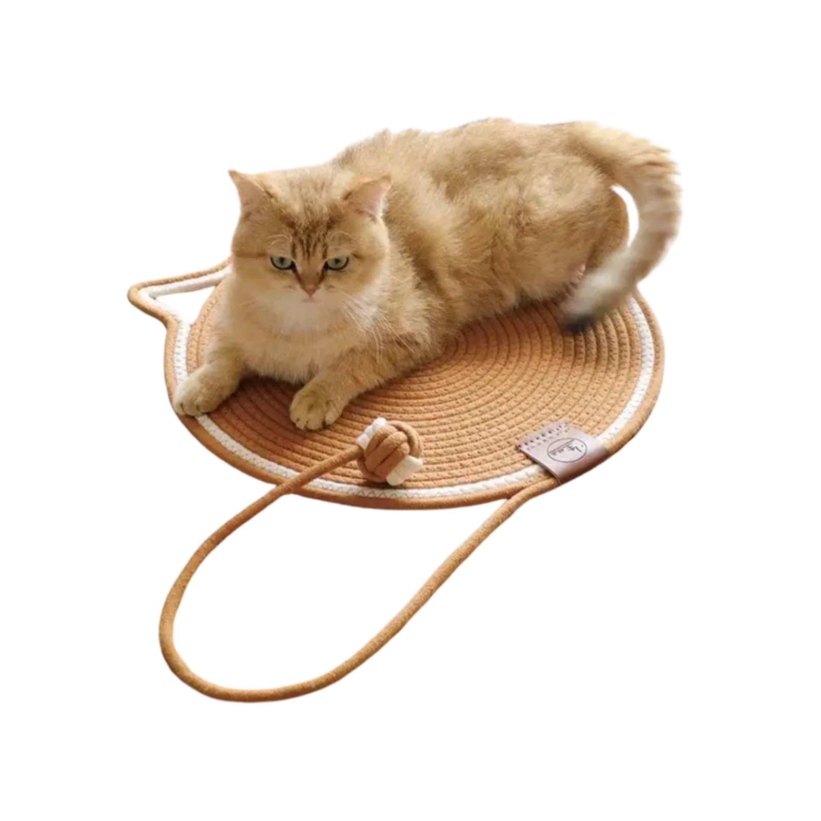 Apvali virvinė draskyklė - Image 7