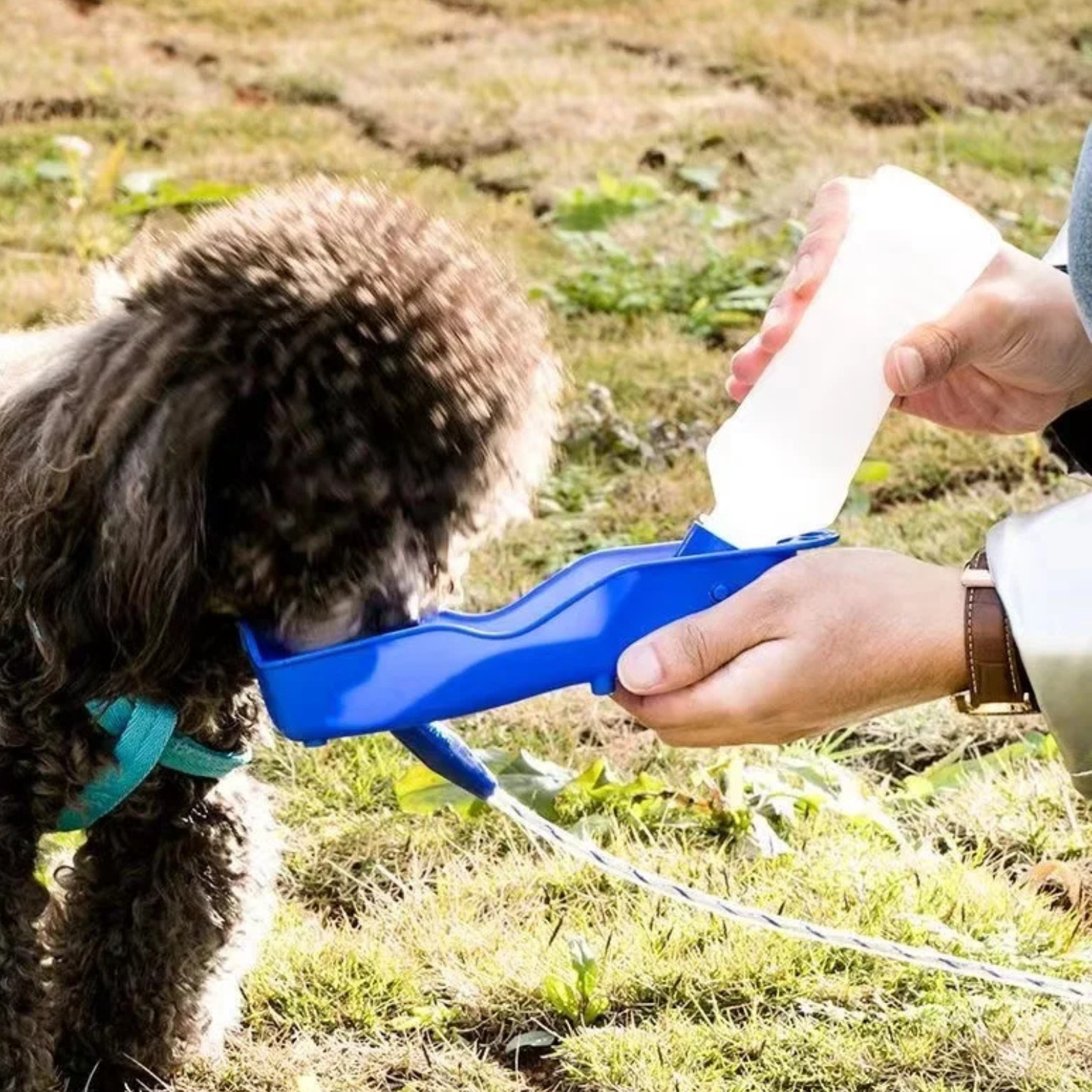 Nešiojama vandens gertuvė augintiniams - Image 2