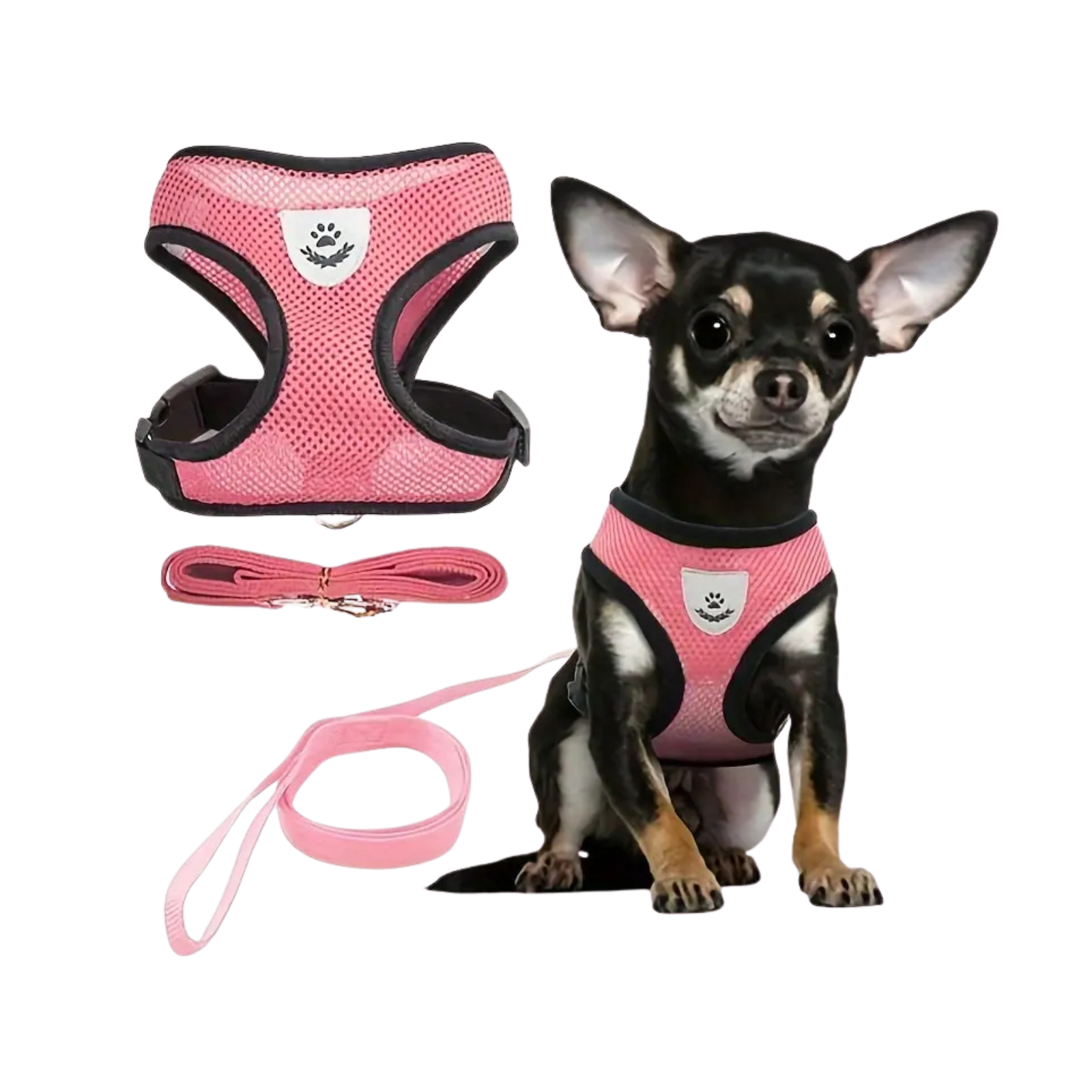 Šviesą atspindintis petnešėlių ir pavadėlio rinkinys