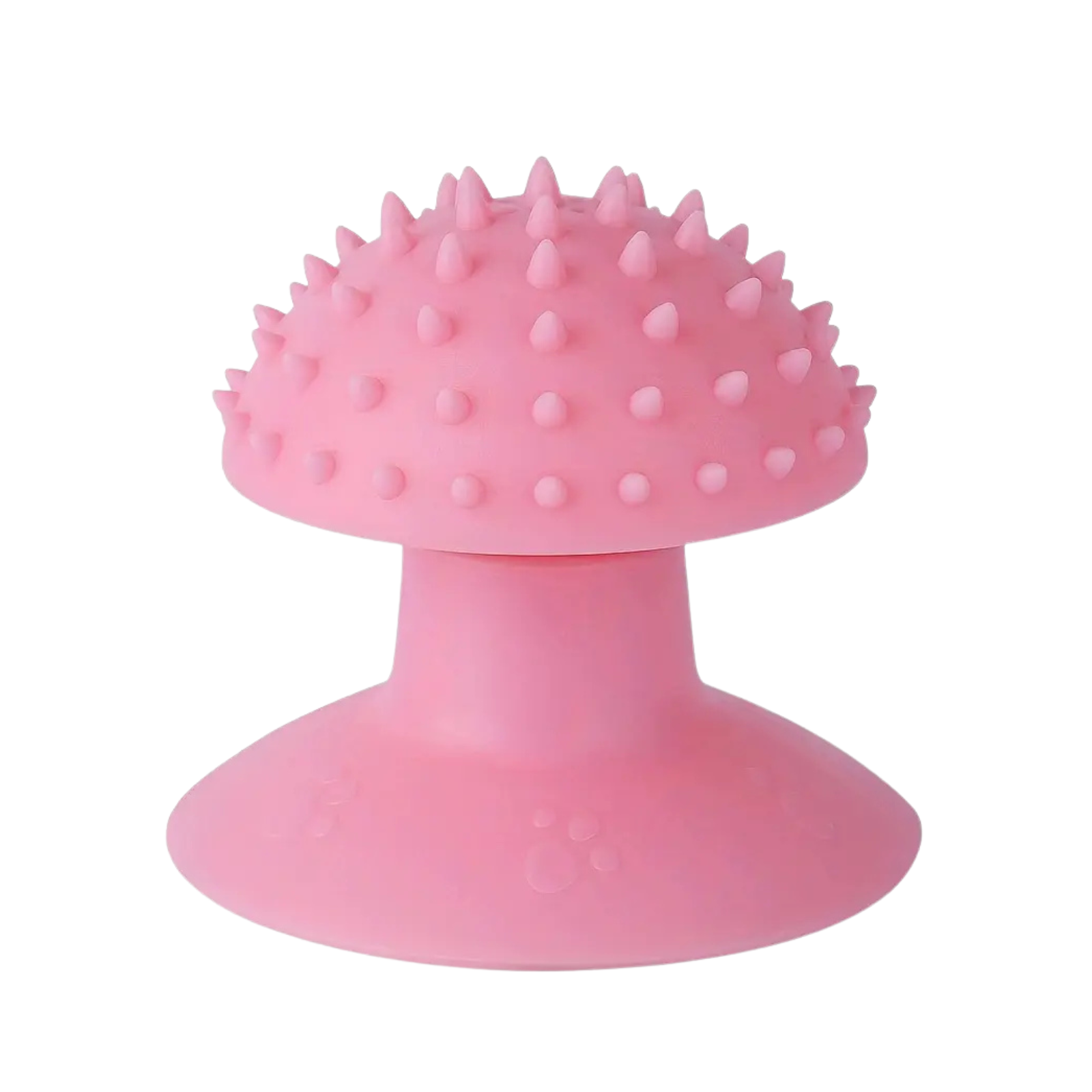 Atsipalaidavimo žaislas katėms – nuo ūsų iki uodegos - Image 2