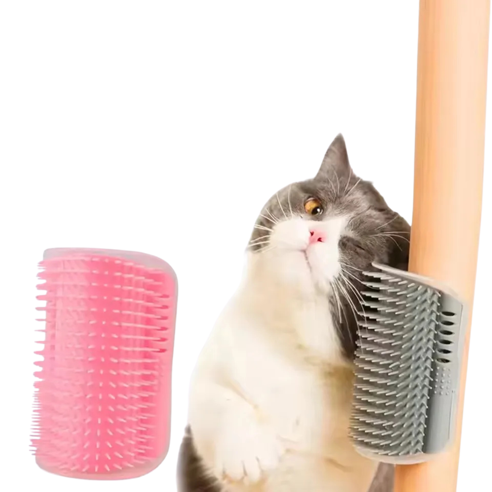 Savimasažo šepetys katėms – tvirtinamas prie kampo