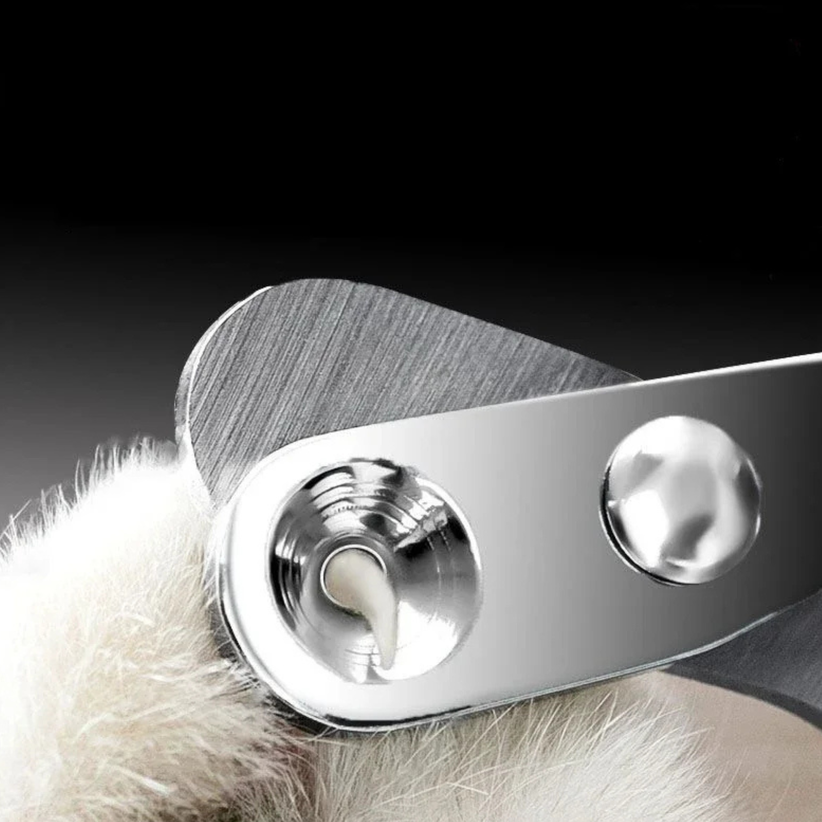 Profesionalios nagų žirklutės – smulkiems šunims ir katėms - Image 3