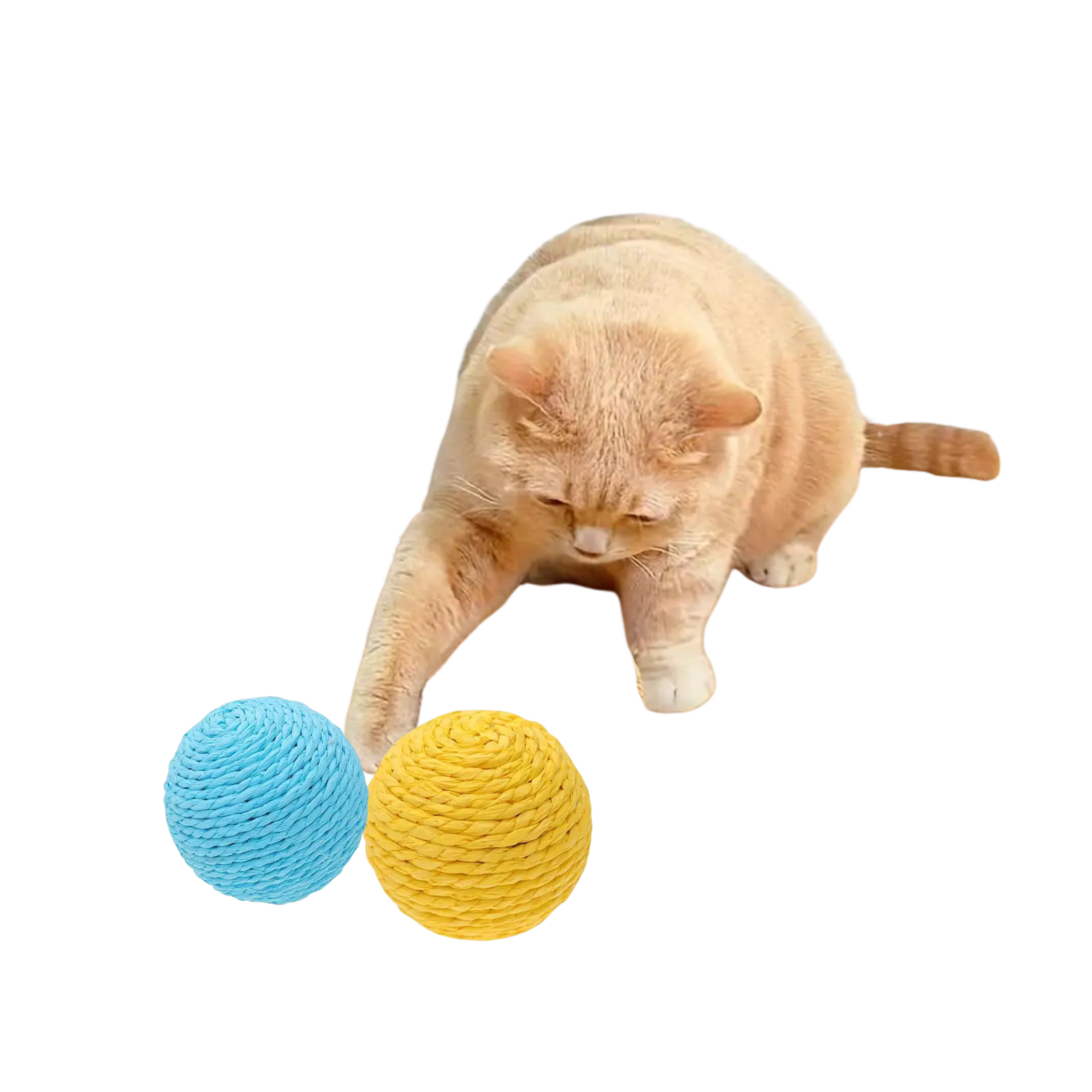 Kartoninis garso kamuoliukas katėms