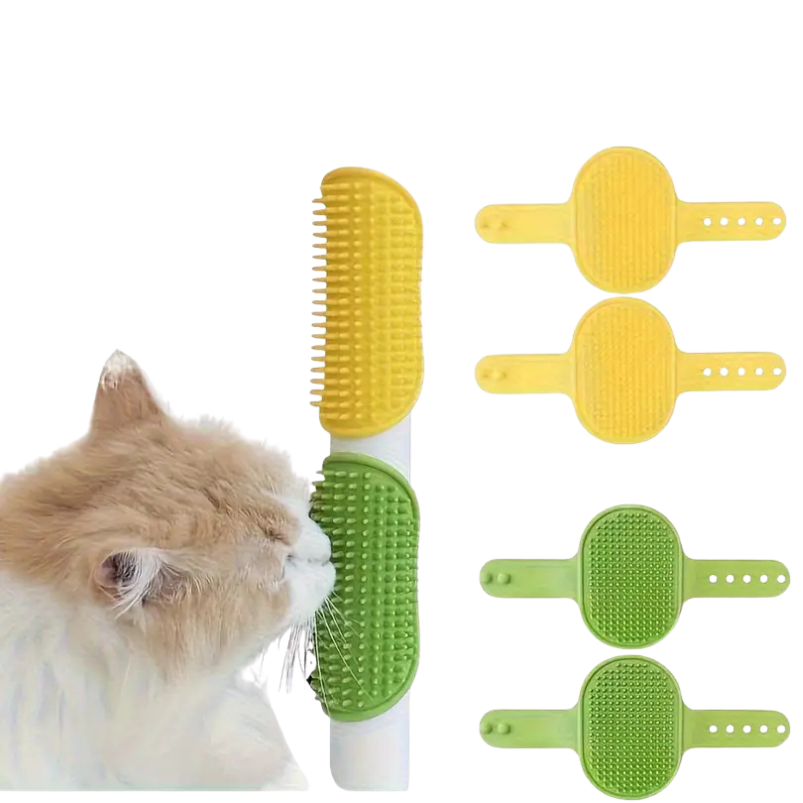 Masažo komplektas katei (2 vnt.)