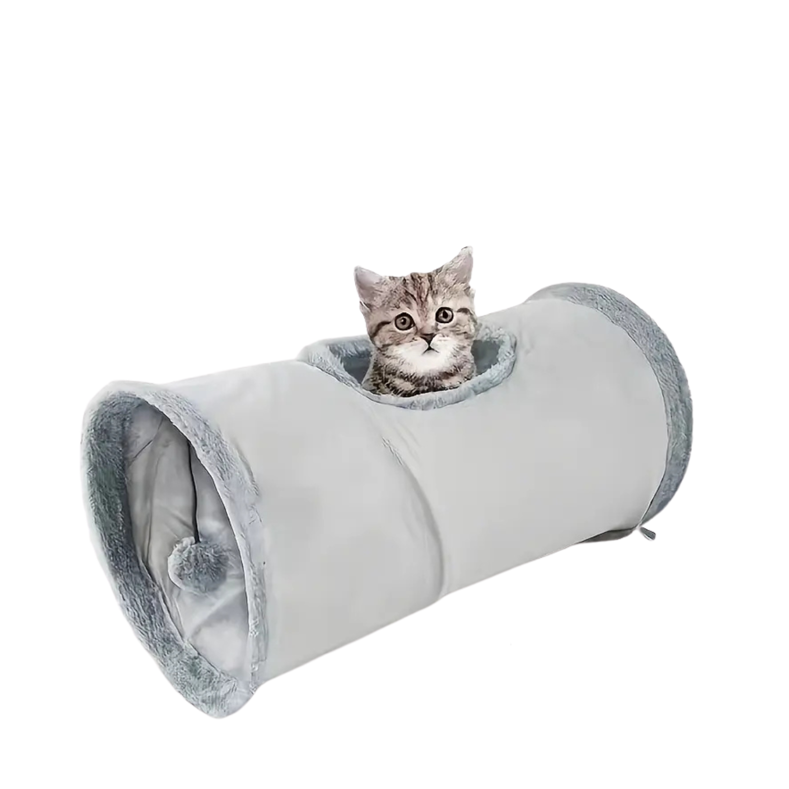 Sulankstomas kačių tunelis