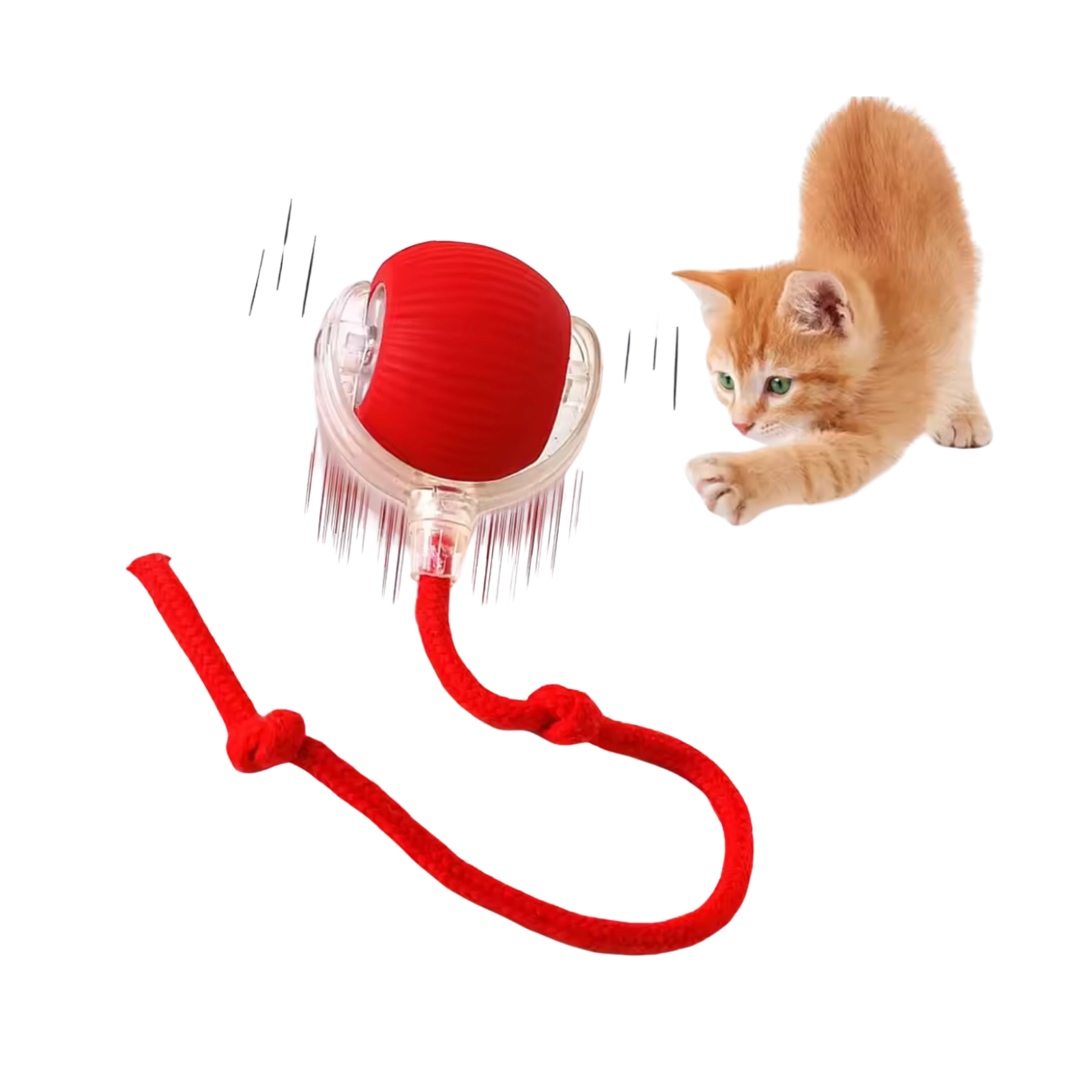 Elektrinis katės žaislas – kamuoliukas
