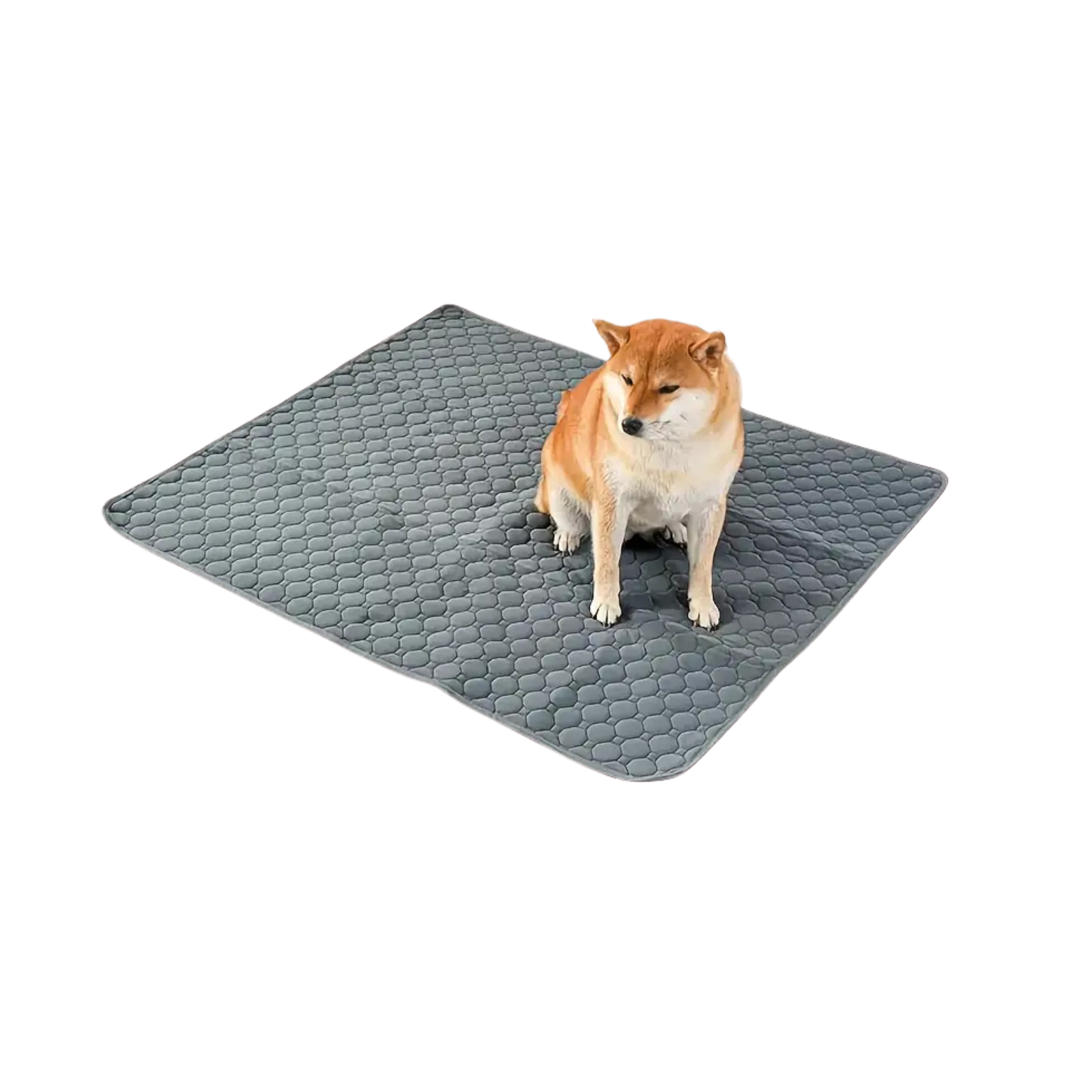 Plaunamas neslystantis augintinių kilimėlis