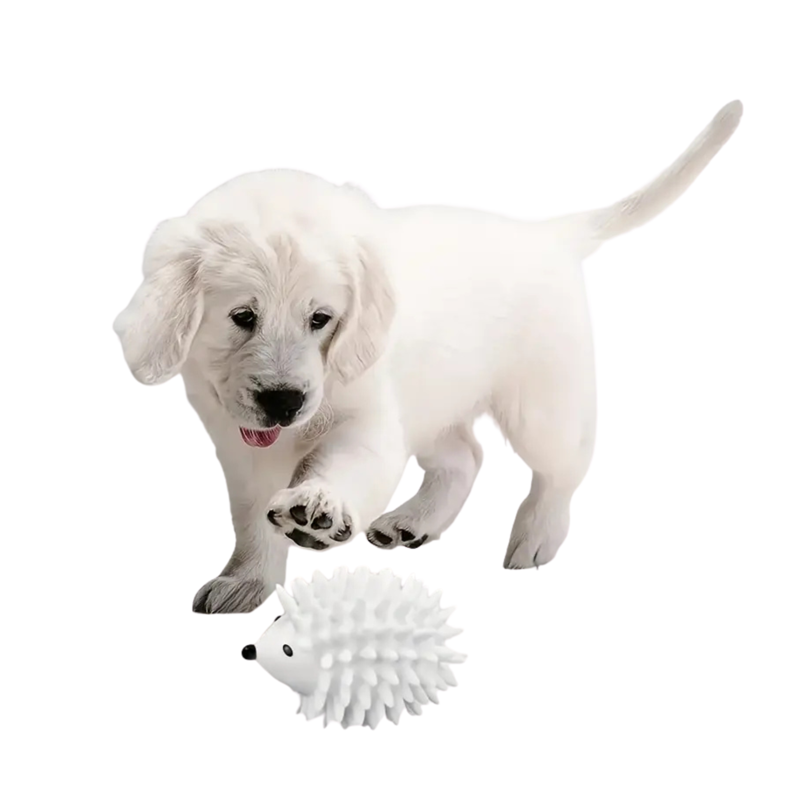 Ežiuko formos kramtomasis žaislas šunims