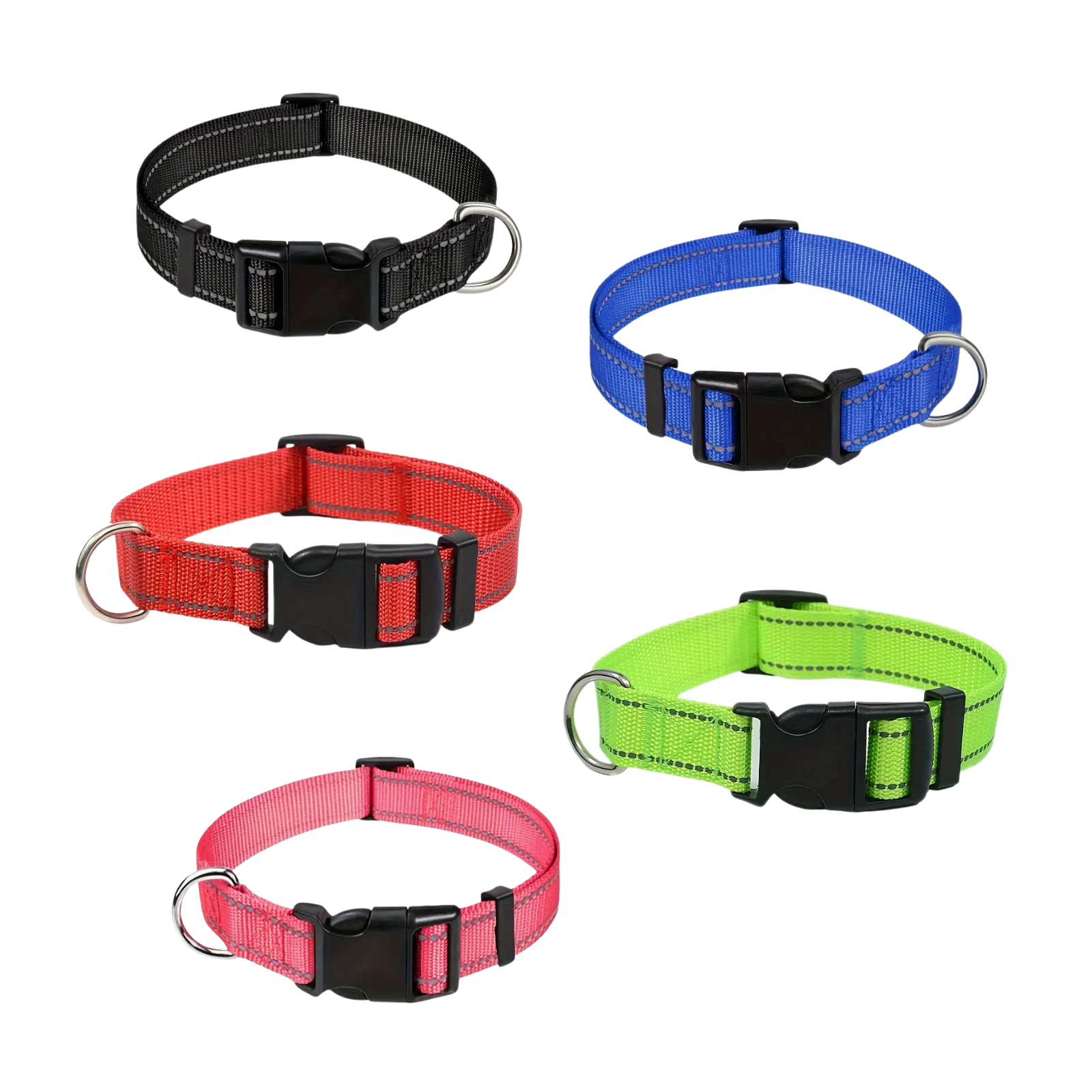 Atspindintis šuns antkaklis su sagtimi