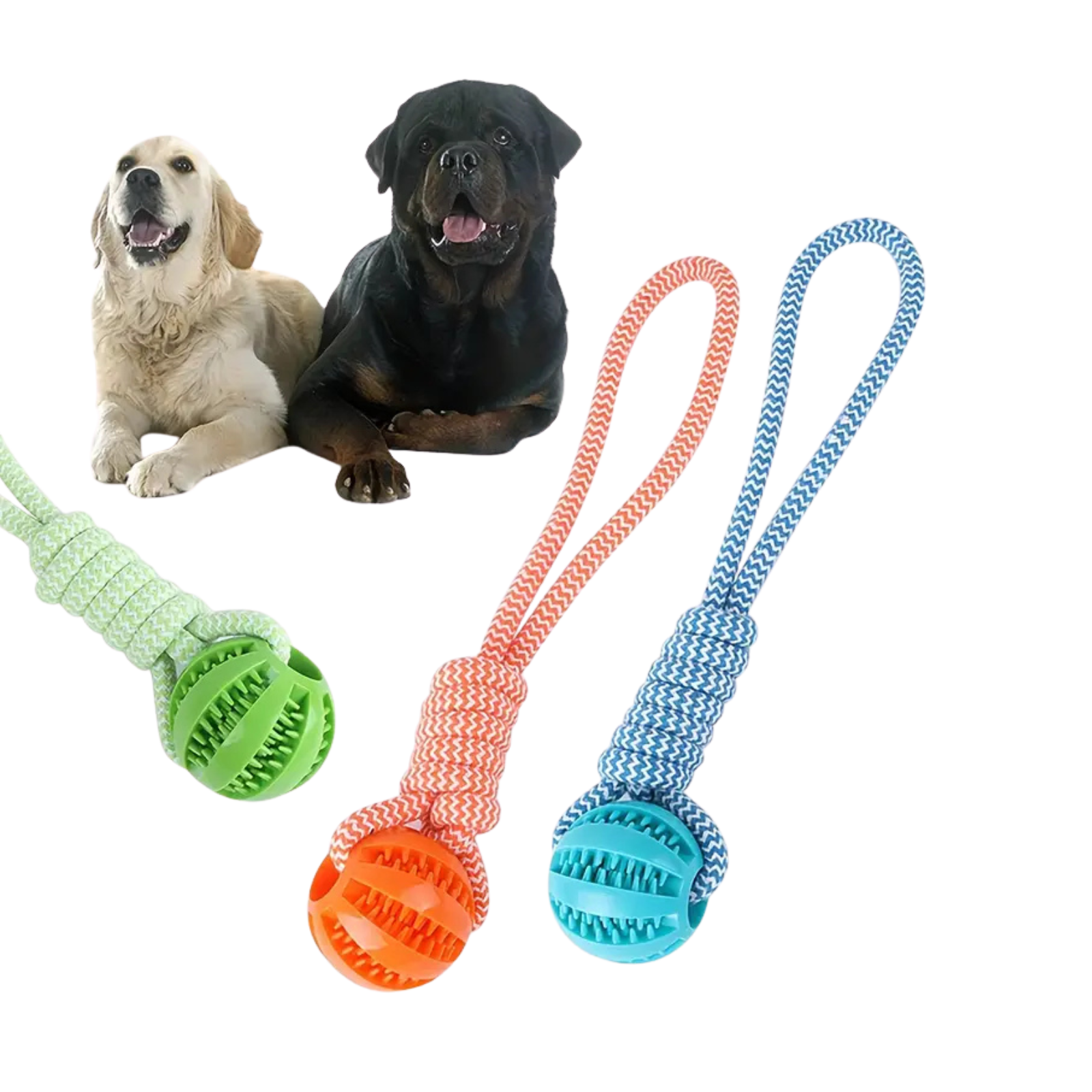 Patvarus šuns kramtymo žaislas su virve